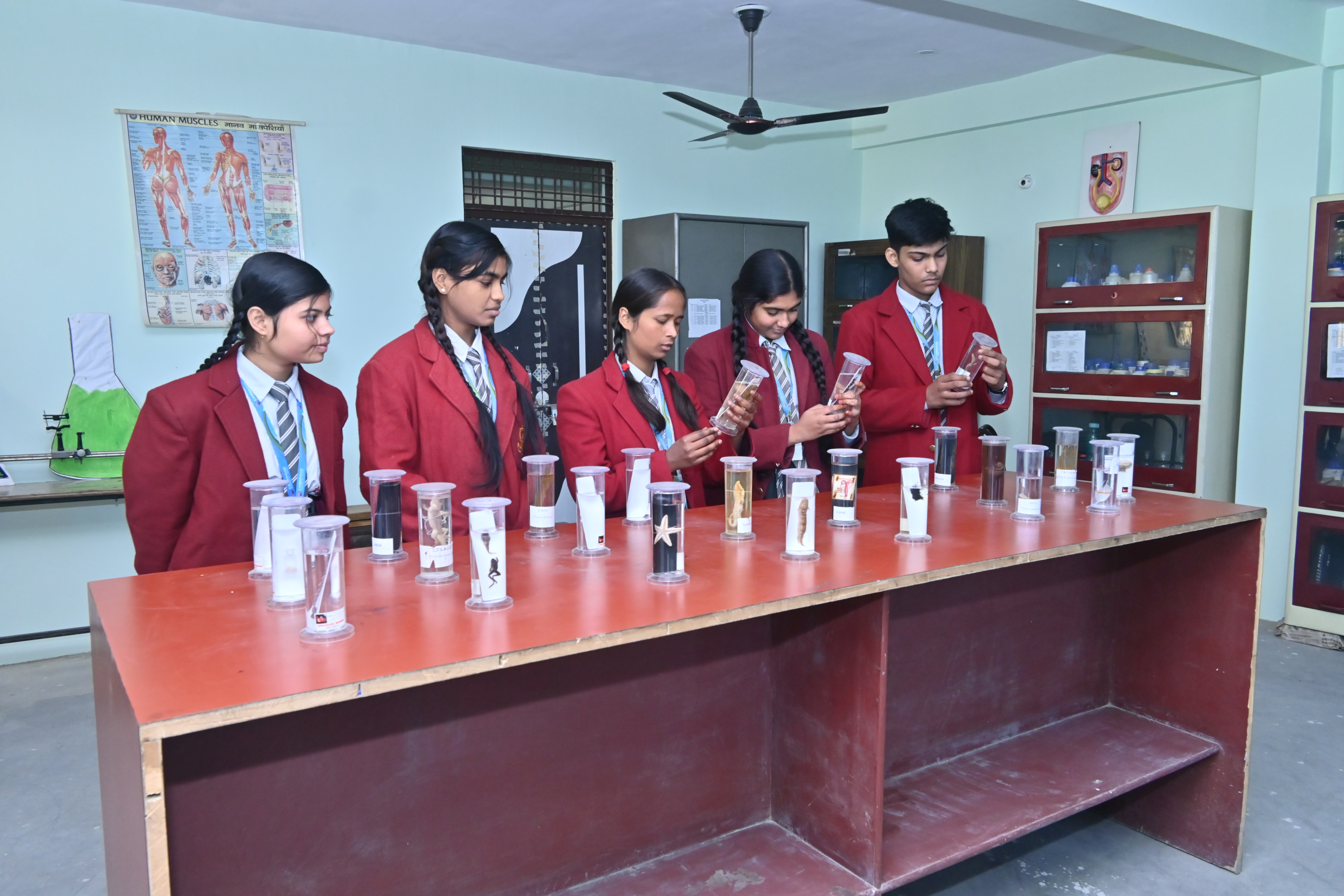 Science Lab Models